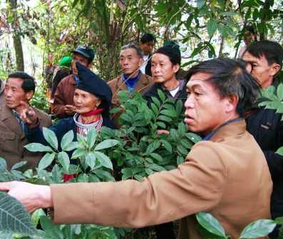 Kỹ năng thúc đẩy 